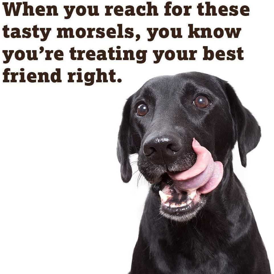 Baked Dog Treats H625071