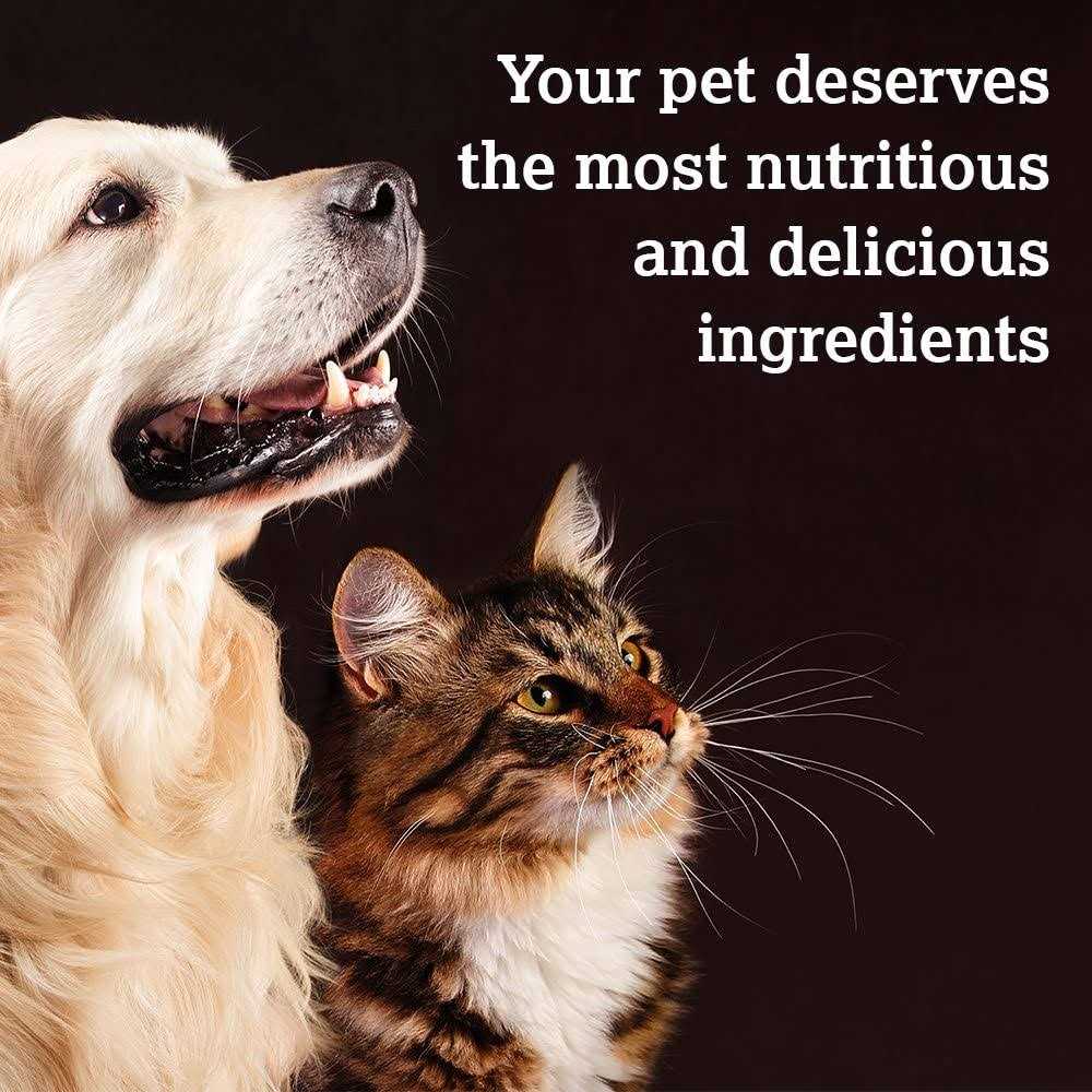 Baked Dog Treats H625071