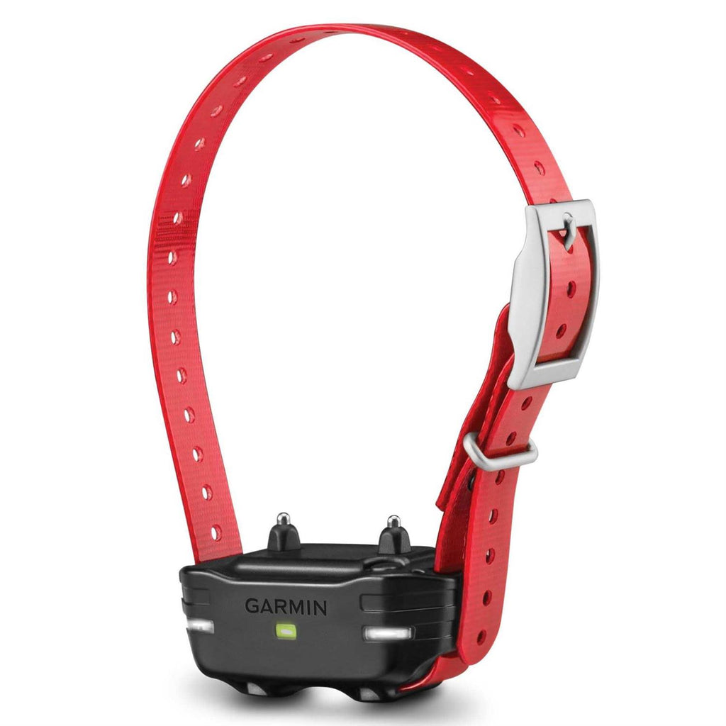 Dog Device Collar E61484