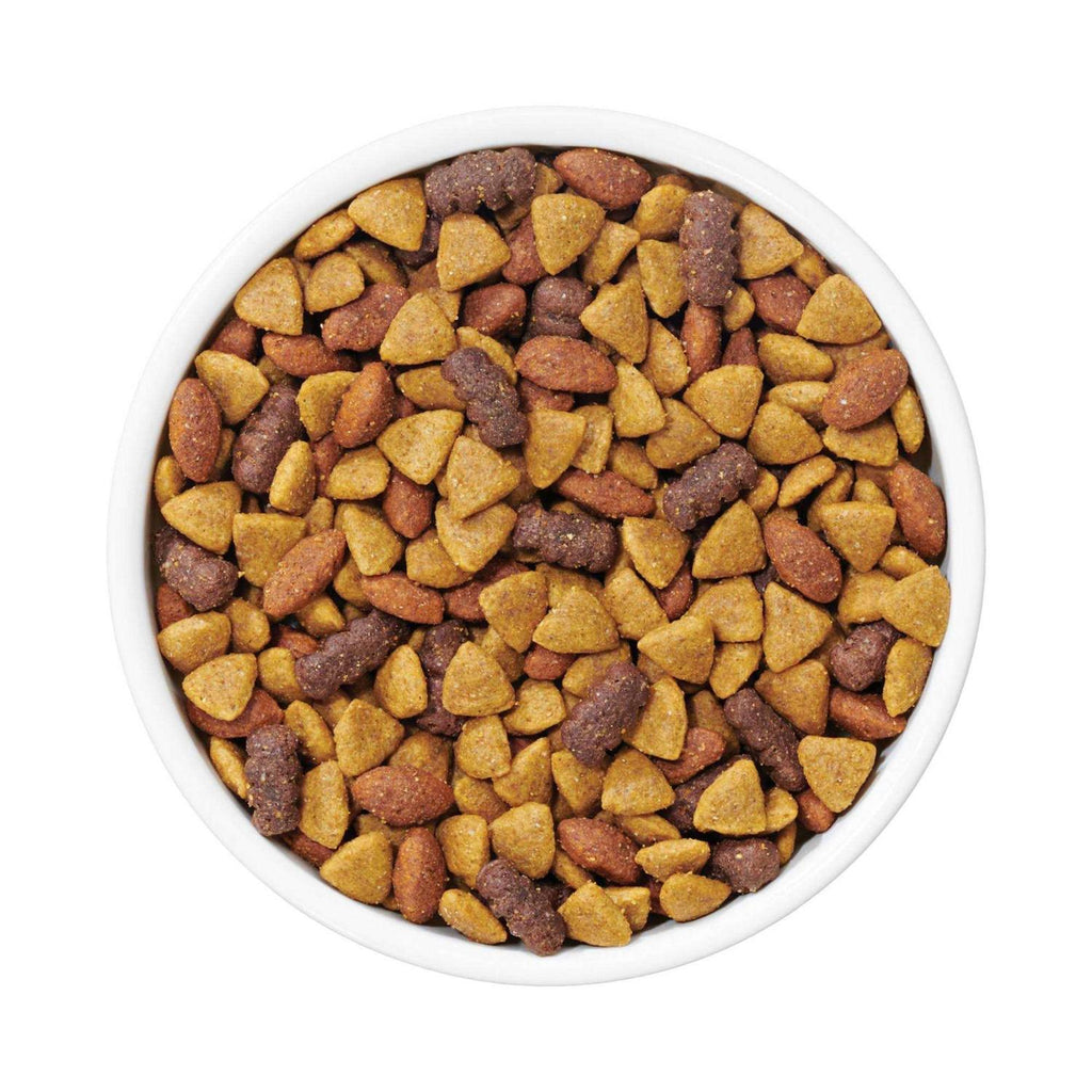 Complete Adult Dry Dog Food Q8154