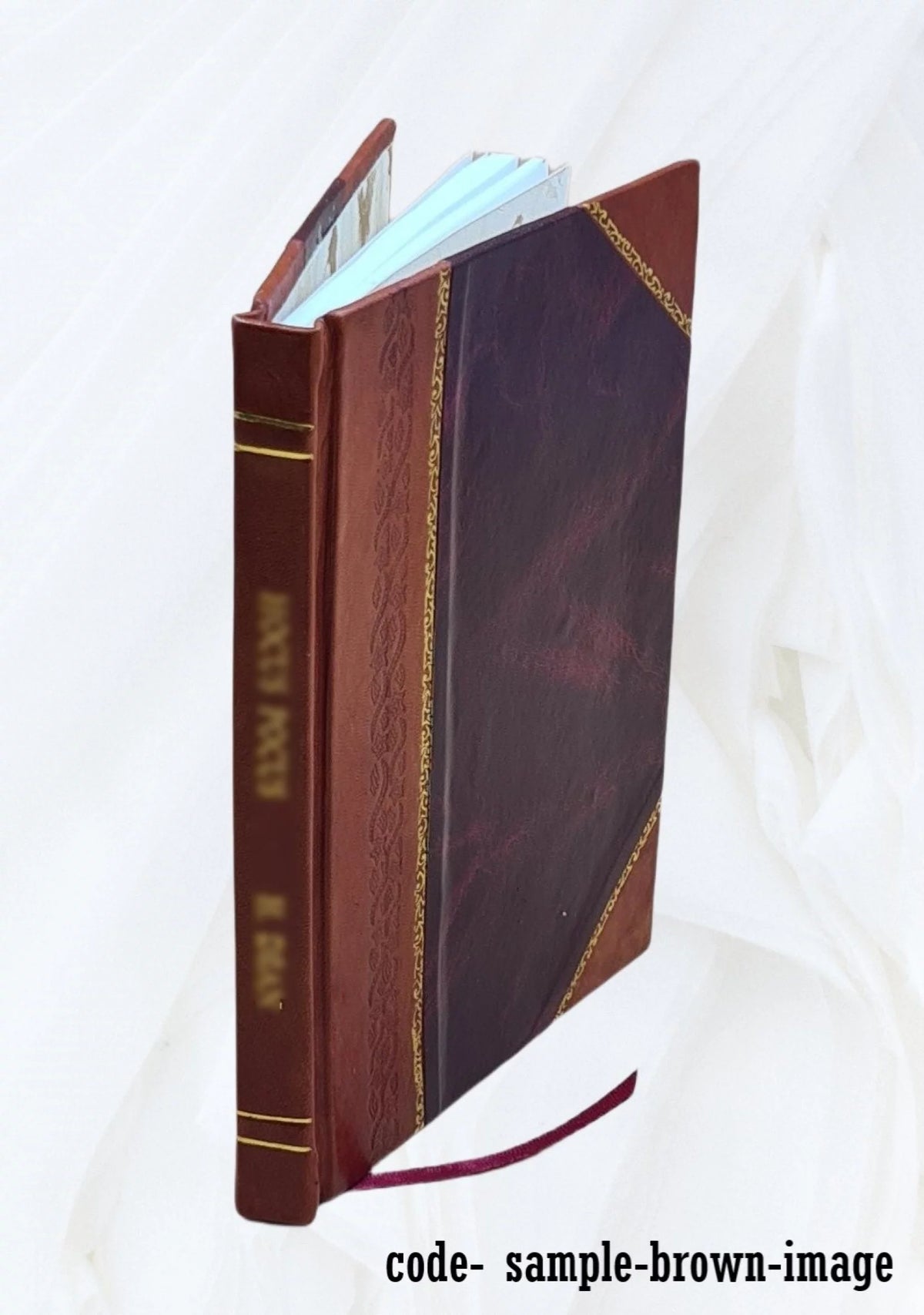 Leather Bound P555