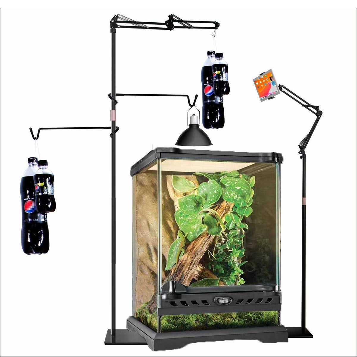 Reptile Dual Lamp Stand with Two Hooks T380551