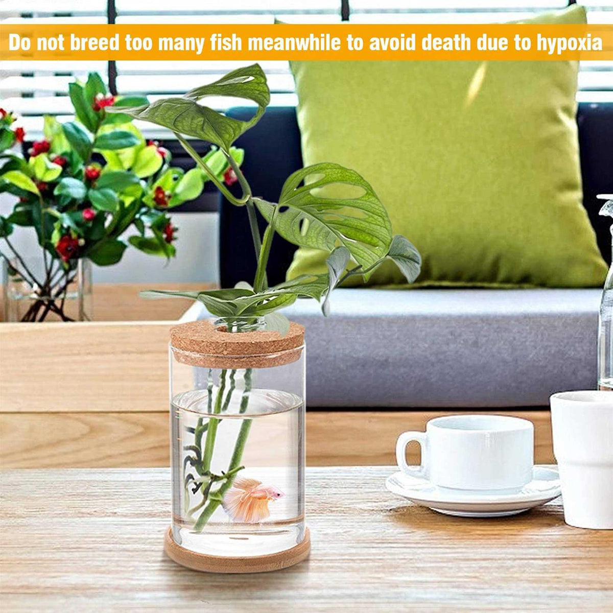 Clear Glass Betta Fish Tank X20271