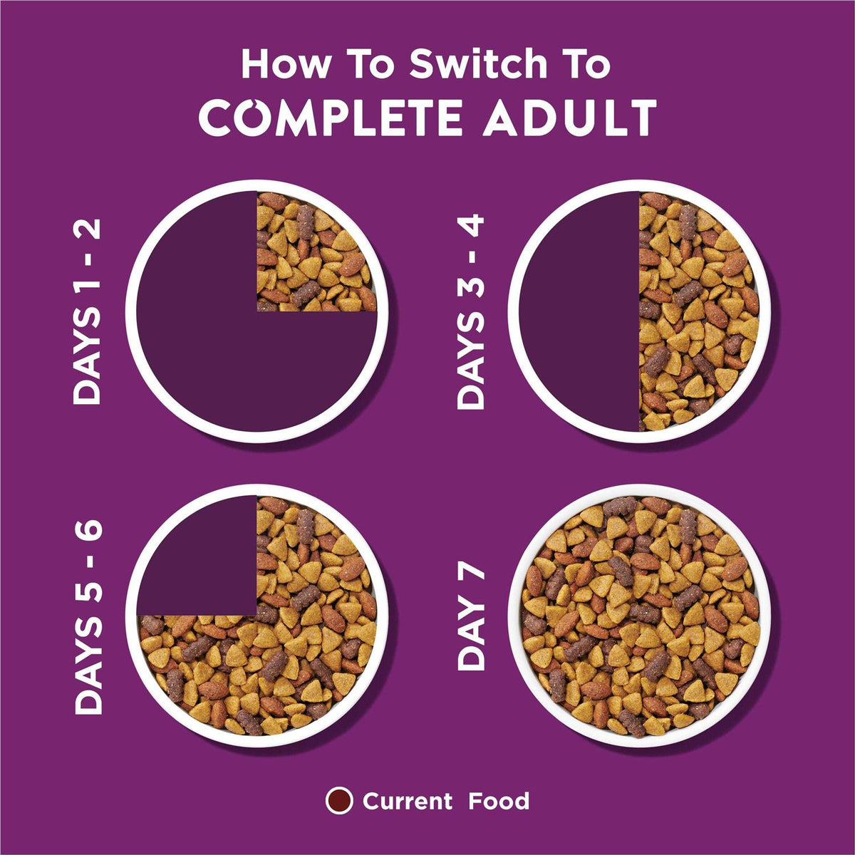 Complete Adult Dry Dog Food Q8154
