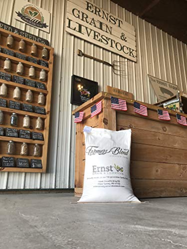 Whole Corn (50 lb) X401