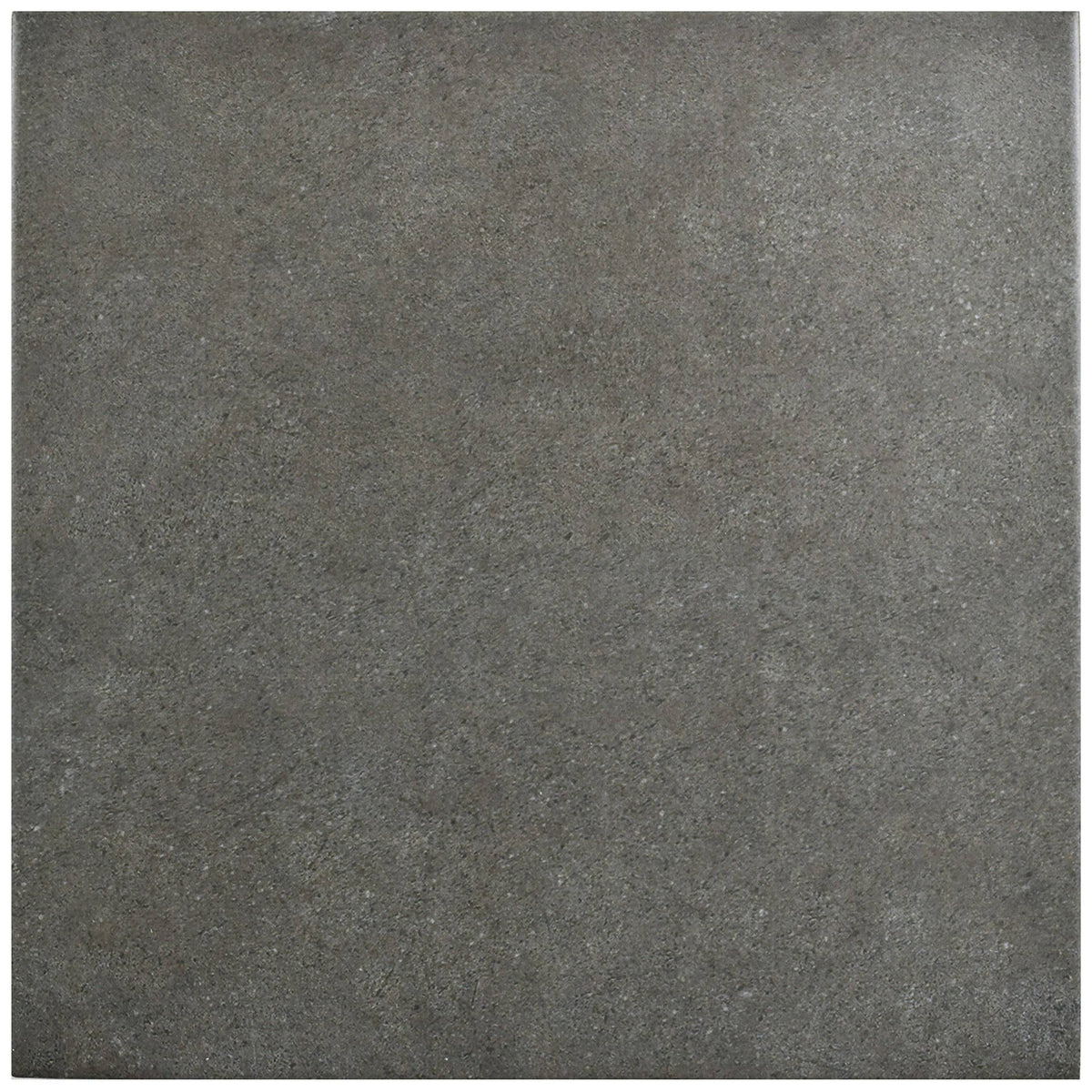 9.75x22 Porcelain Floor and Wall Tile B252156