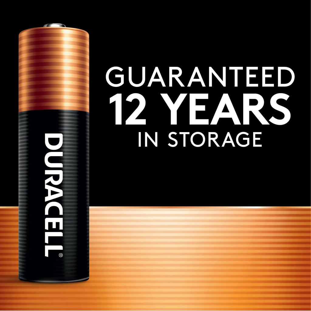 AA Batteries (Pack of 2) R624
