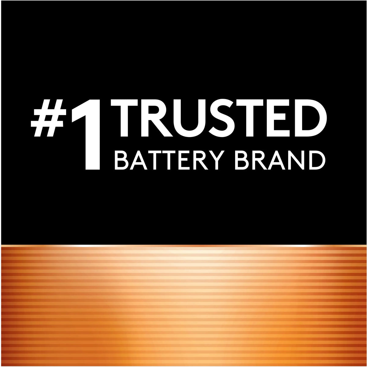 AA Batteries (Pack of 2) R624