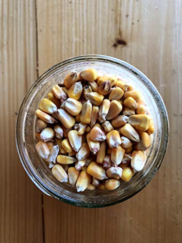 Whole Corn (50 lb) X401