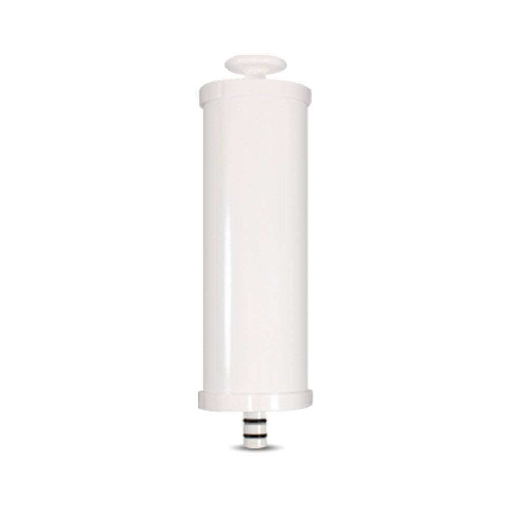Replacement Carbon Filters I458176