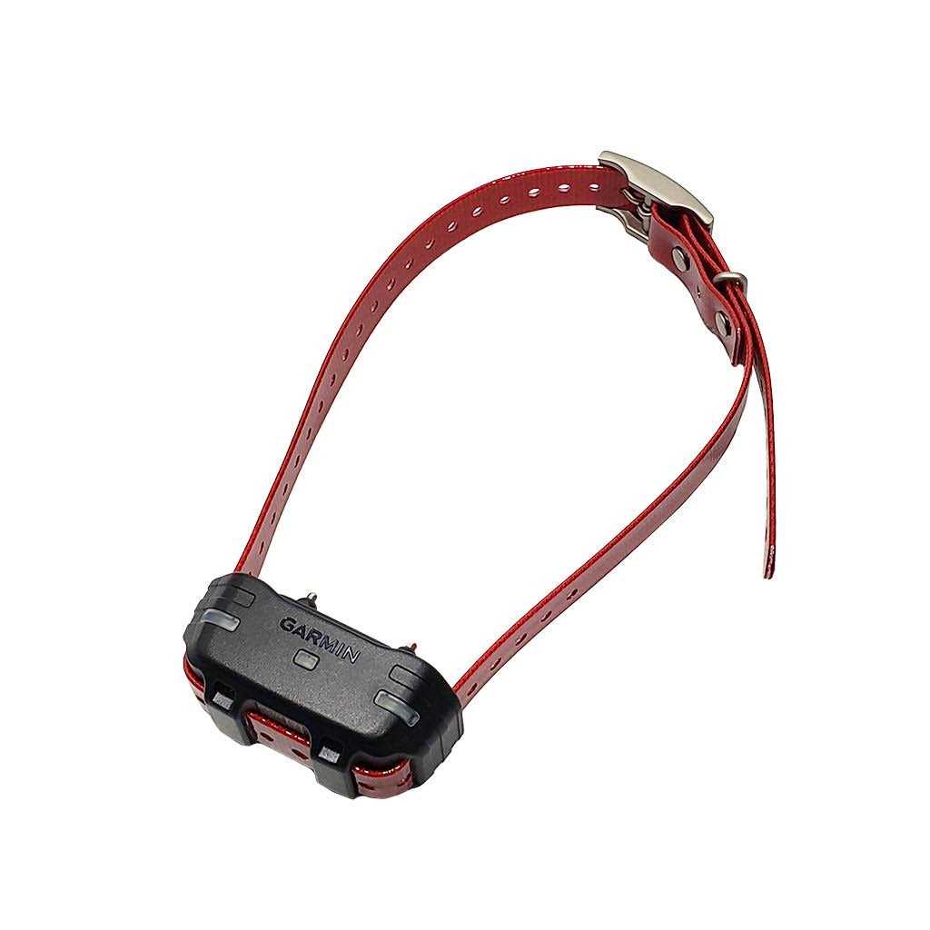 Dog Device Collar E61484