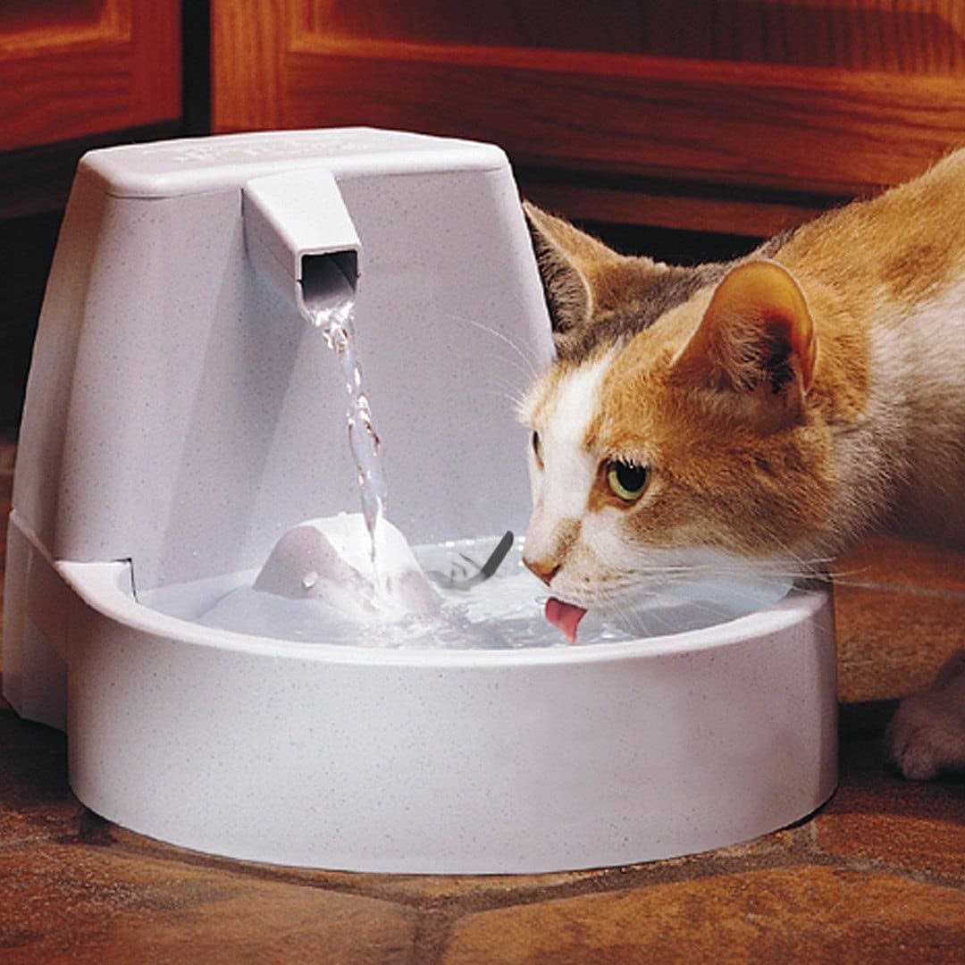 Original Pet Fountain D3572