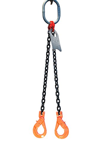 3/8" x 10' Double Leg Chain Sling with Hooks E448666