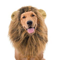 Brown Dog Wig R388560