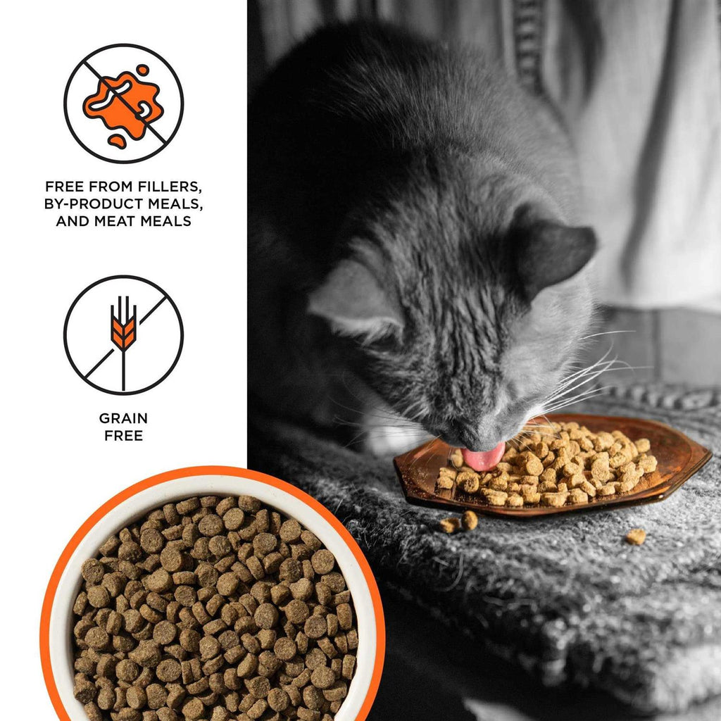 Chicken Recipe Dry Cat Food L6986