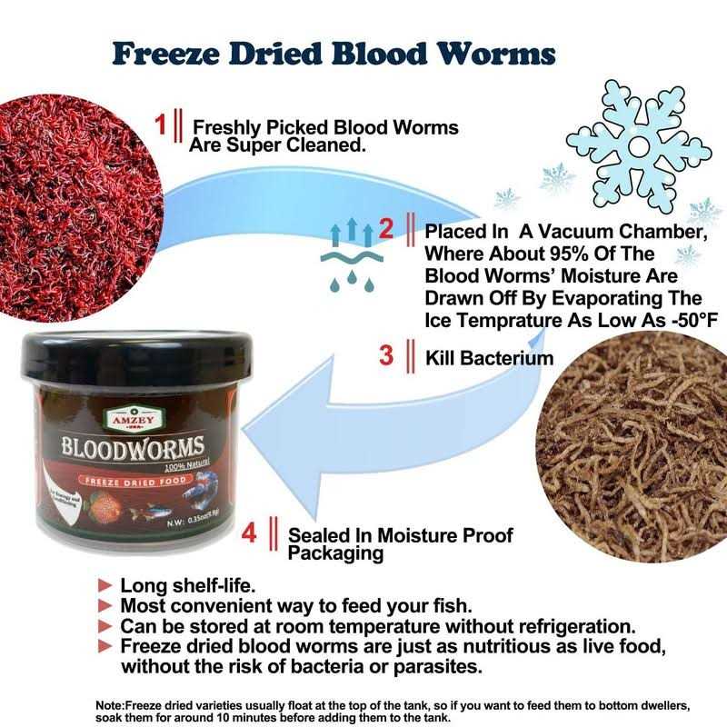 Freeze Dried Blood Worms Aquarium Fish Food E9003