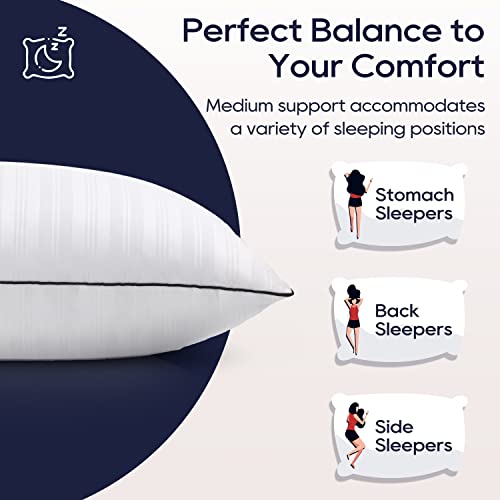 Down Alternative Pillows King Size Set of 2 N945