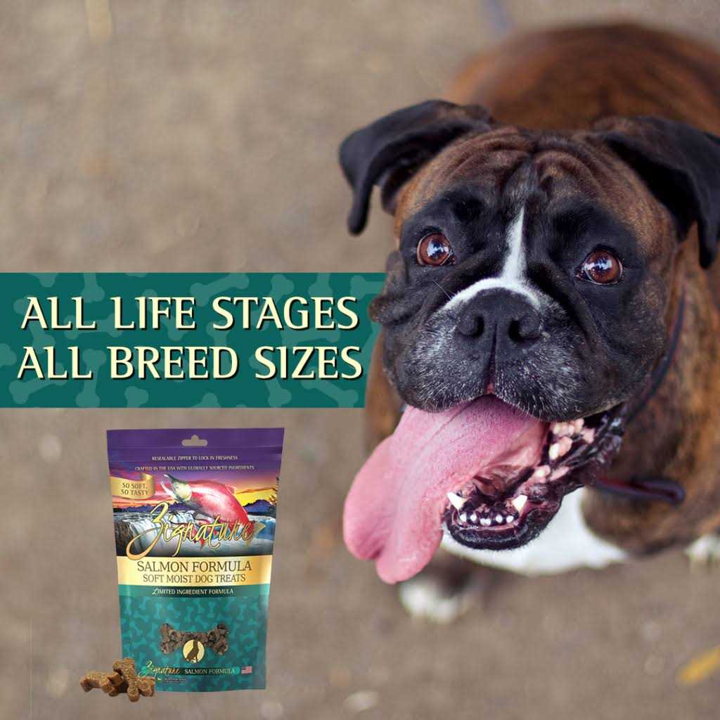 Soft Moist Dog Treats K2520