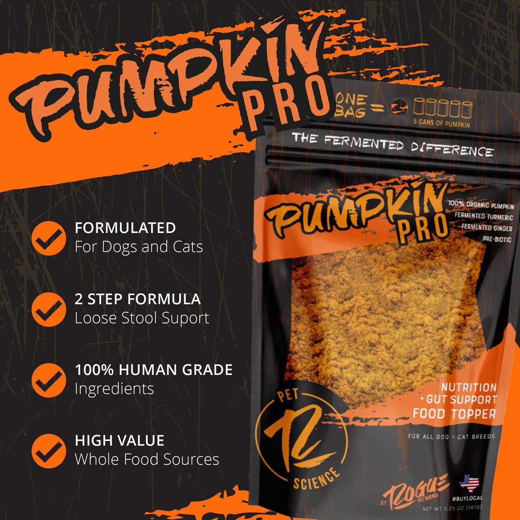Pumpkin Dog Food Topper V378