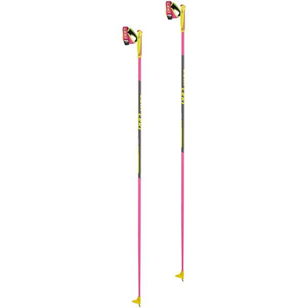 XC Ski Poles I59784