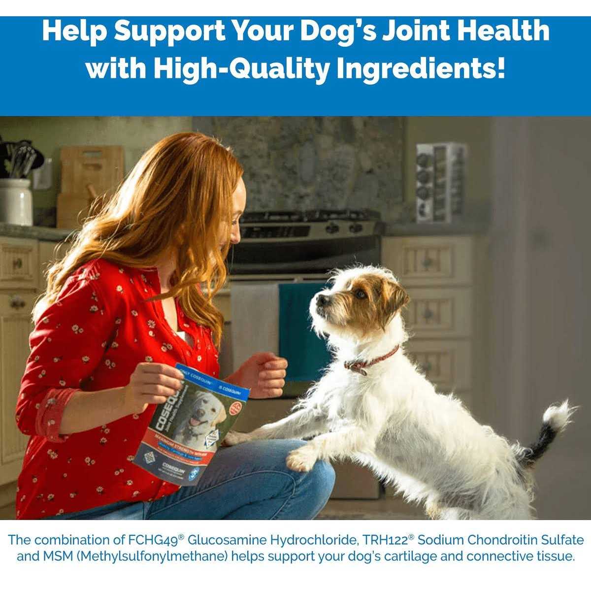 Soft Chews with MSM Plus Omega-3s for Dogs R182