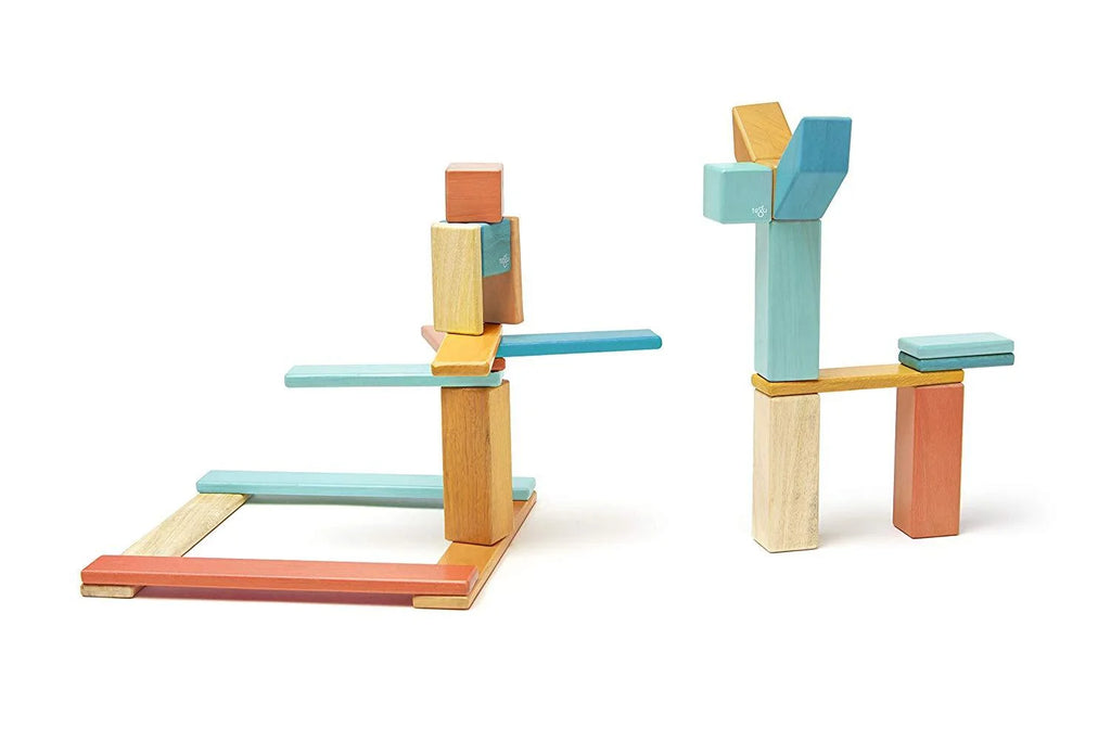 24 Piece Tegu Magnetic Wooden Block Set E86809