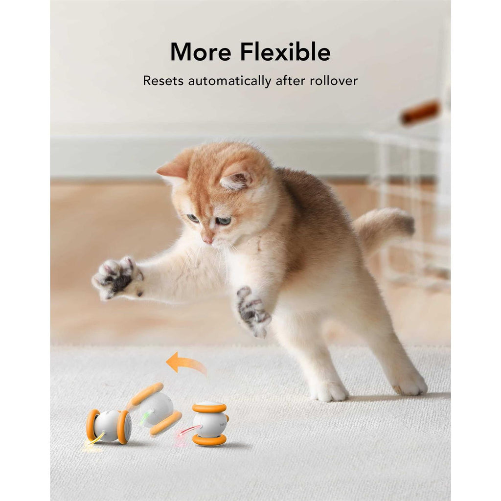 Interactive Cat Toys with LED Lights U449341