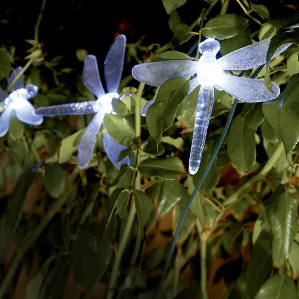 Solar Dragonfly LED String Lights 10-Piece Y63869