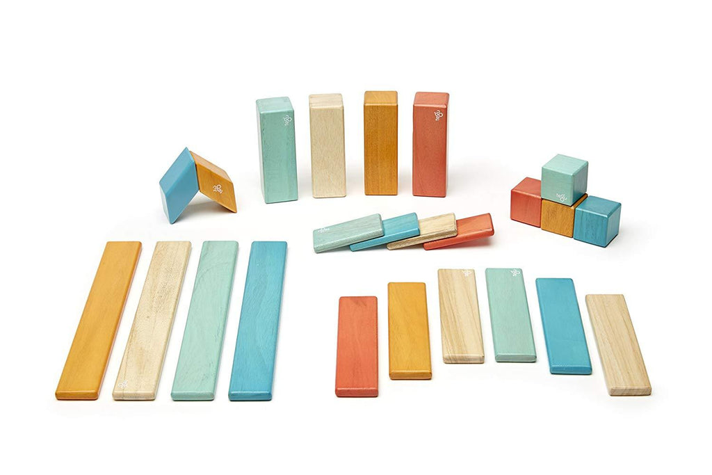 24 Piece Tegu Magnetic Wooden Block Set E86809