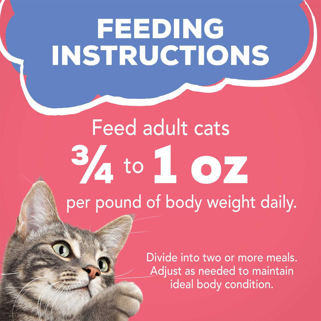 Wet Cat Food Salmon in Sauce L79896