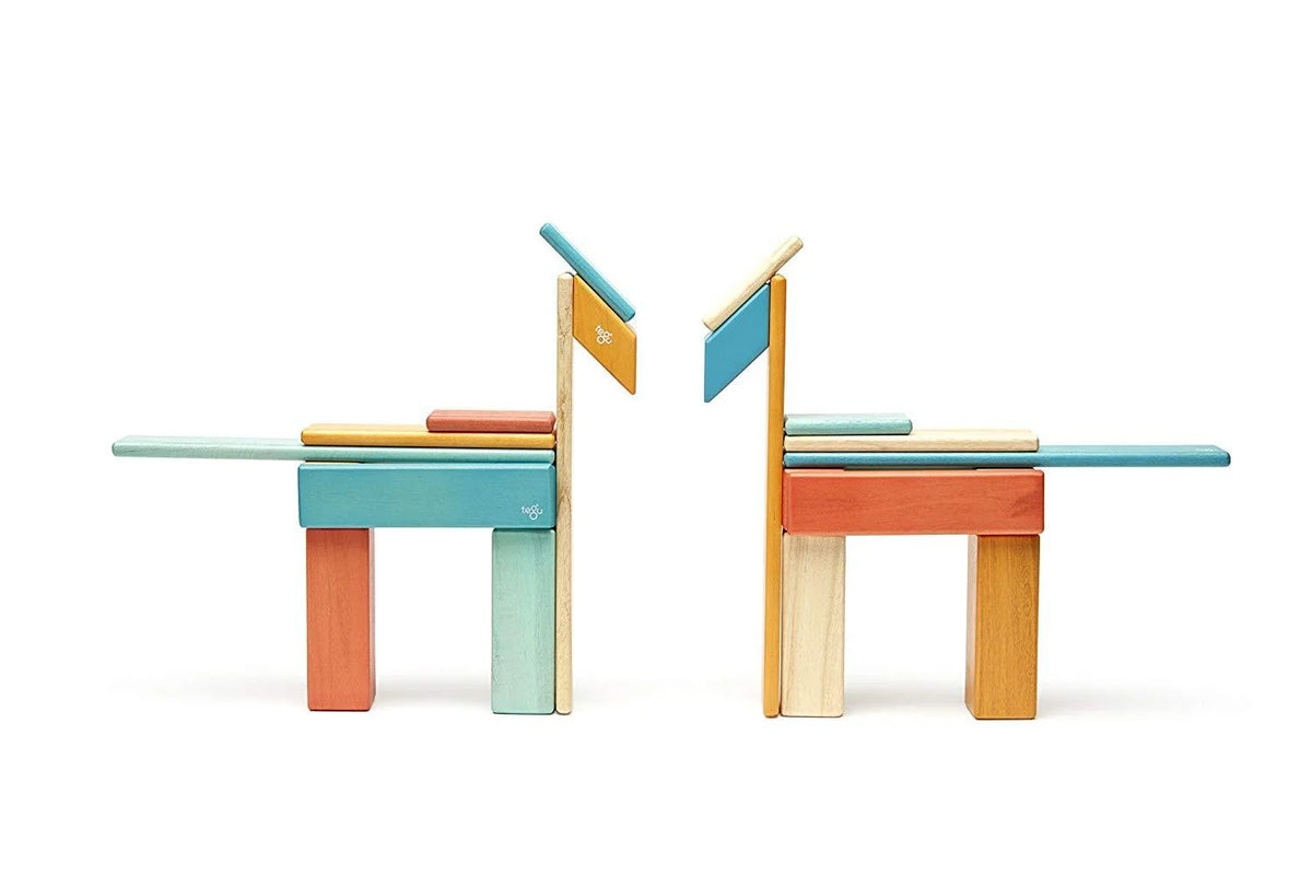 24 Piece Tegu Magnetic Wooden Block Set E86809
