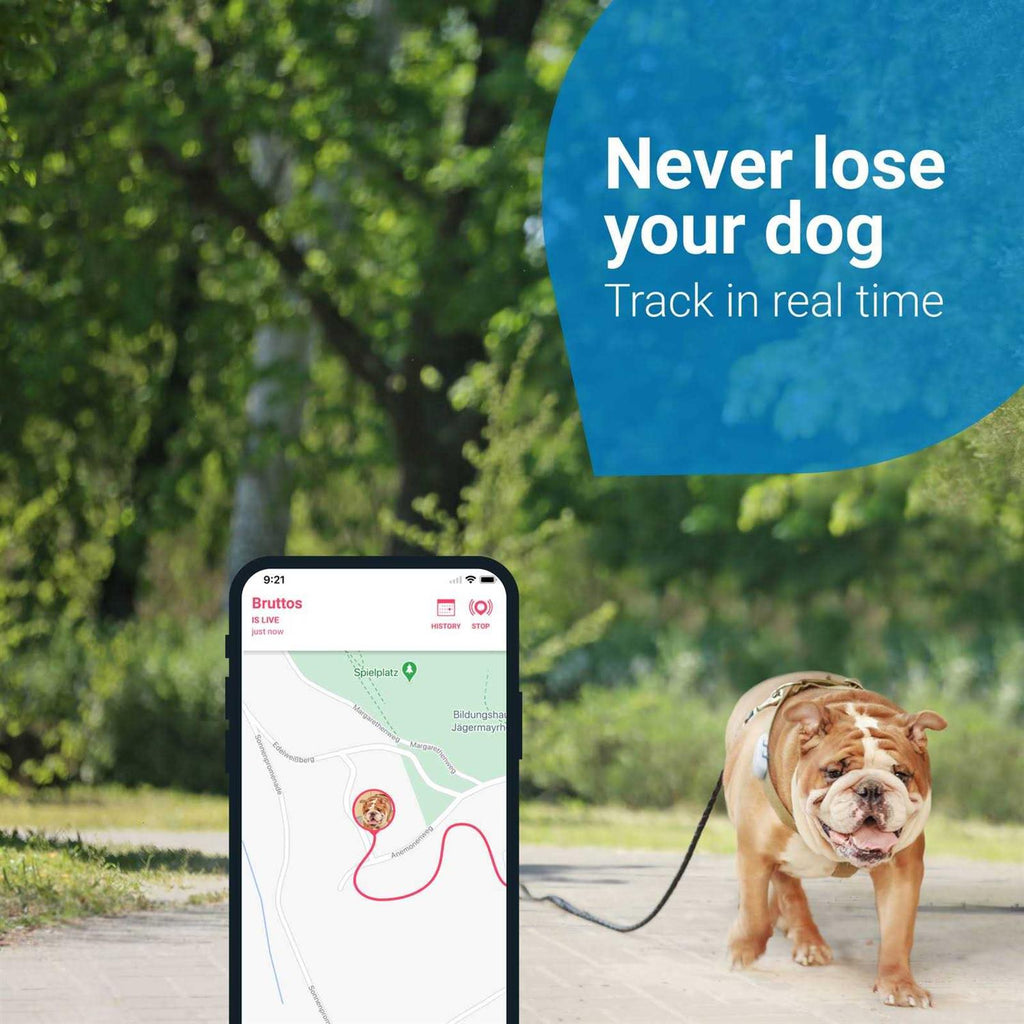 GPS Tracker for Dogs E70115