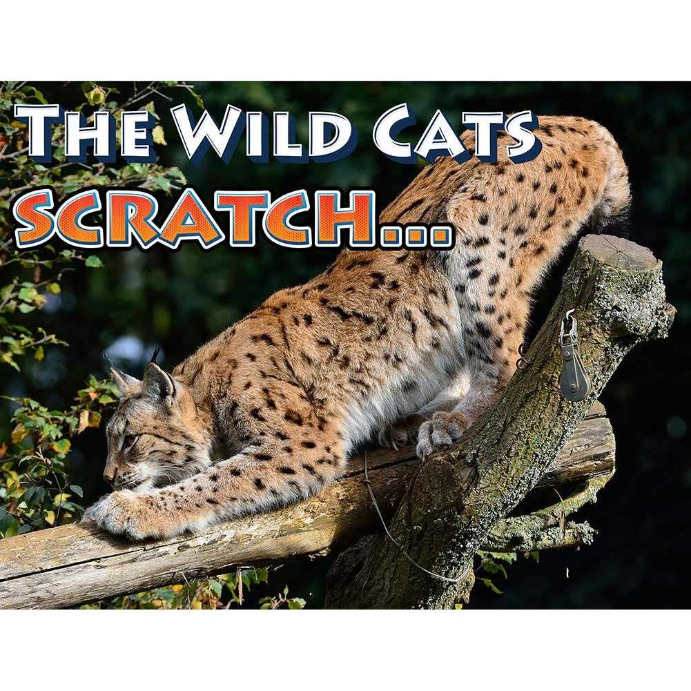 Cat Scratch Deterrent Spray A526612