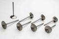 Exhaust Valve R55207