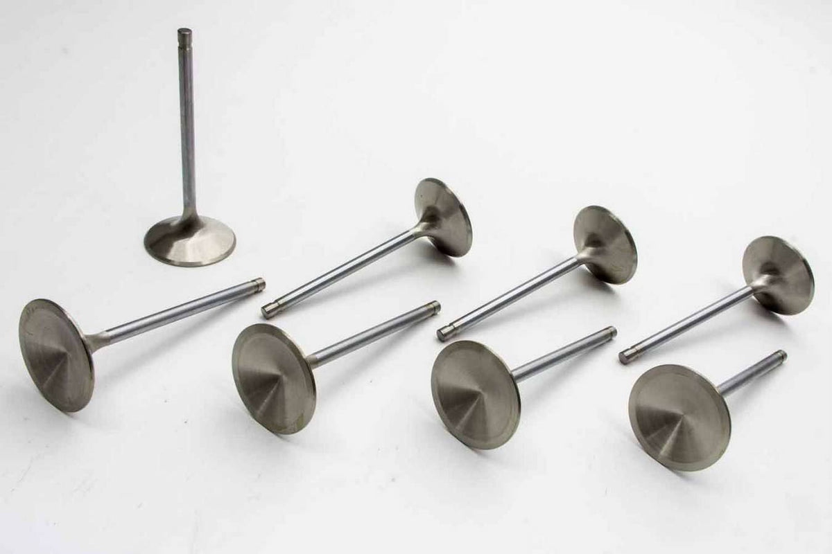 Exhaust Valve R55207