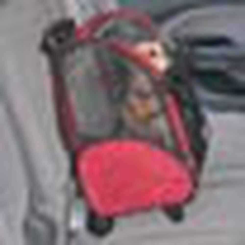 Travel Pet Carrier G381