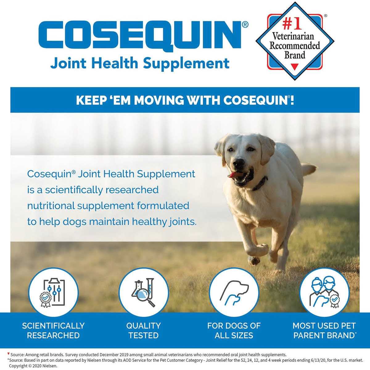 Soft Chews with MSM Plus Omega-3s for Dogs R182