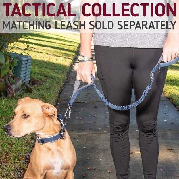 Heavy-Duty Adjustable Dog Collar with Handle R318046