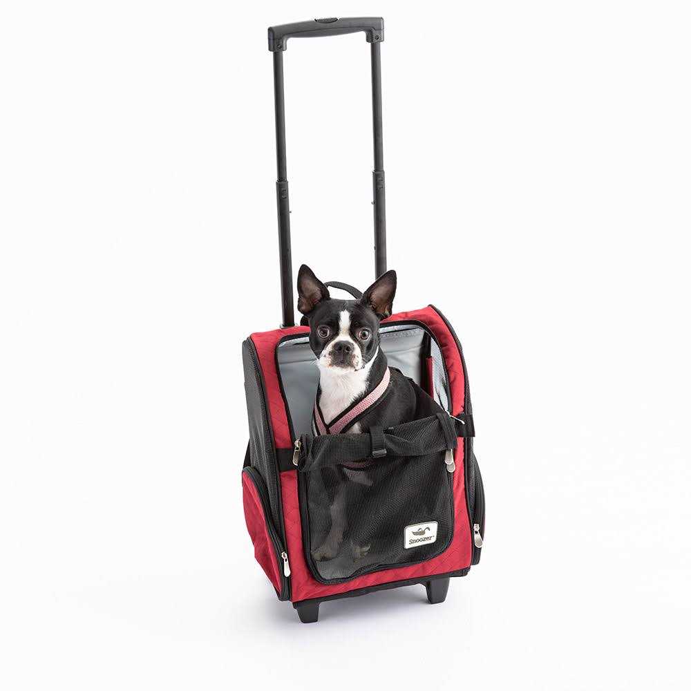 Travel Pet Carrier G381