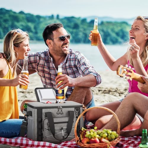Collapsible Insulated Cooler Bag W17617