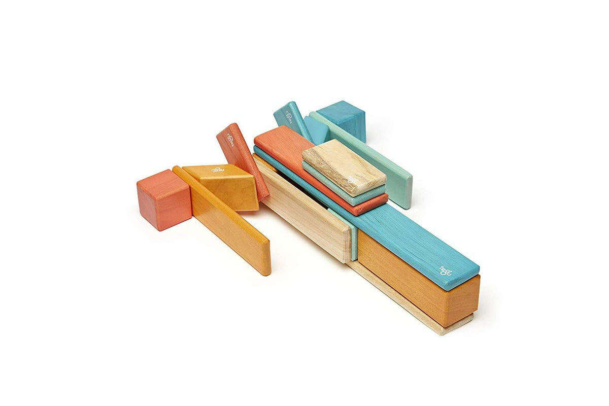 24 Piece Tegu Magnetic Wooden Block Set E86809
