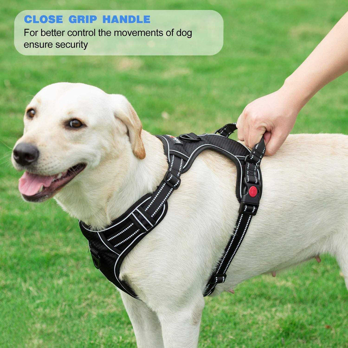 Adjustable Reflective Oxford Dog Harness with 5ft Dog Leash R839